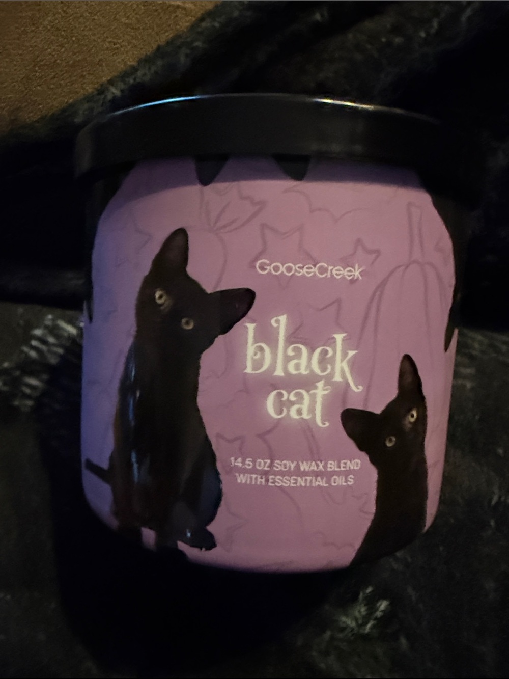 Goose Creek Black Cat Scented Candle - Purple